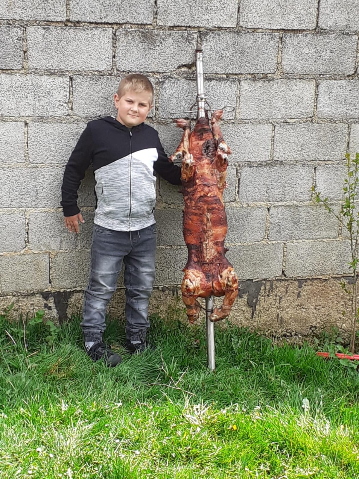 Kid with pig